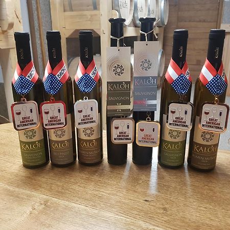 Wine House Kaloh Villa Марибор Екстериор снимка