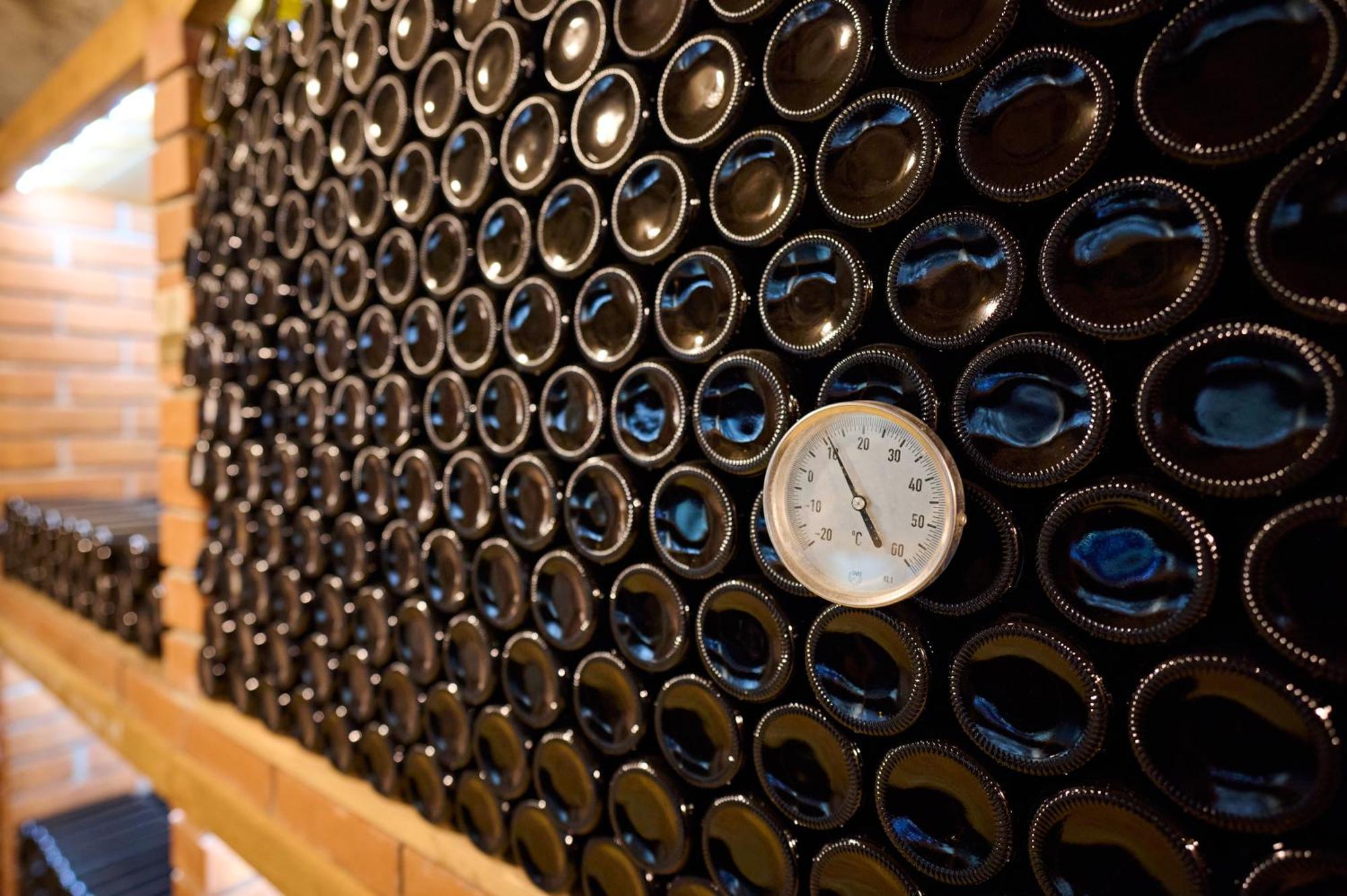 Wine House Kaloh Villa Марибор Екстериор снимка