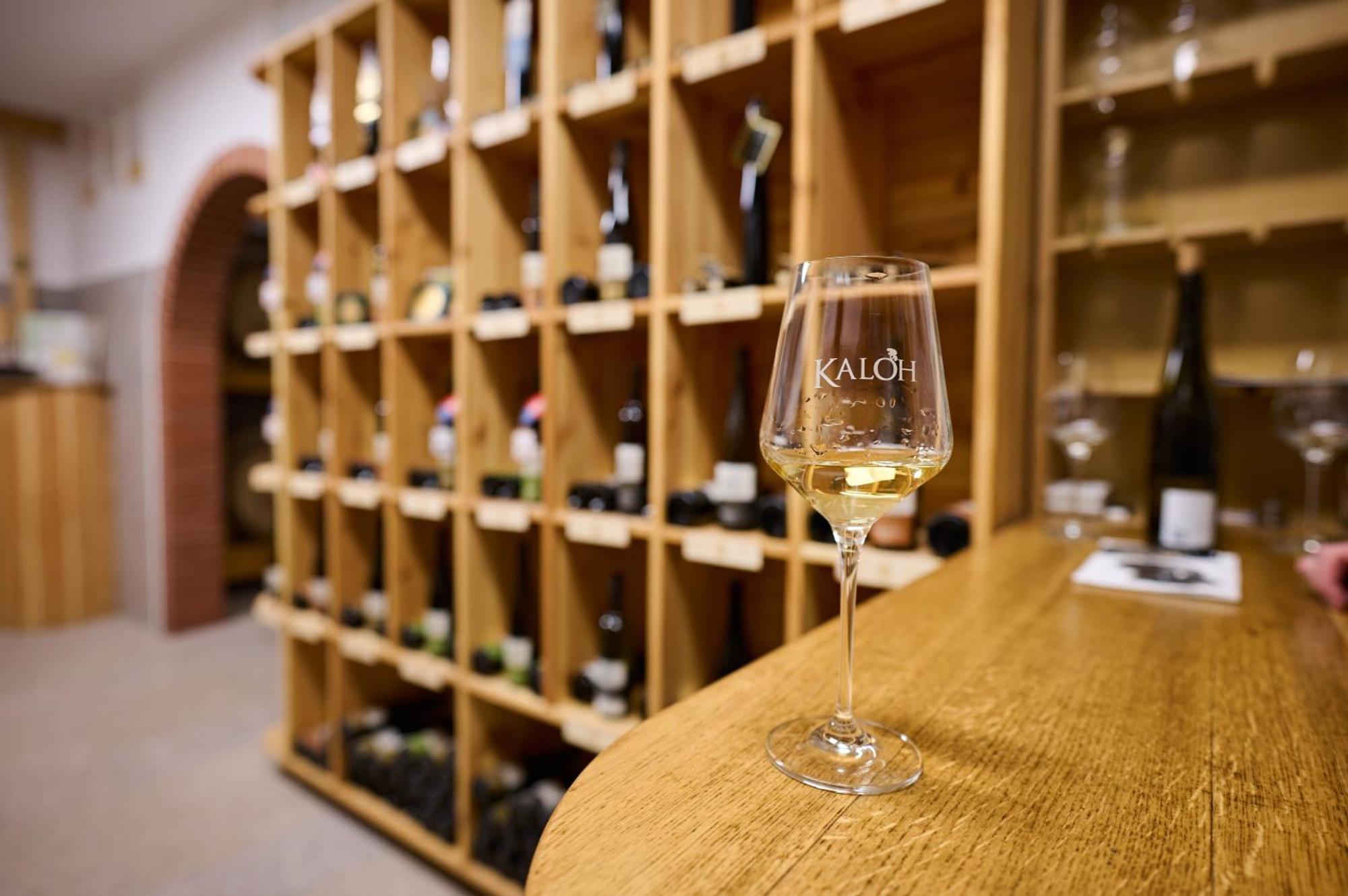 Wine House Kaloh Villa Марибор Екстериор снимка