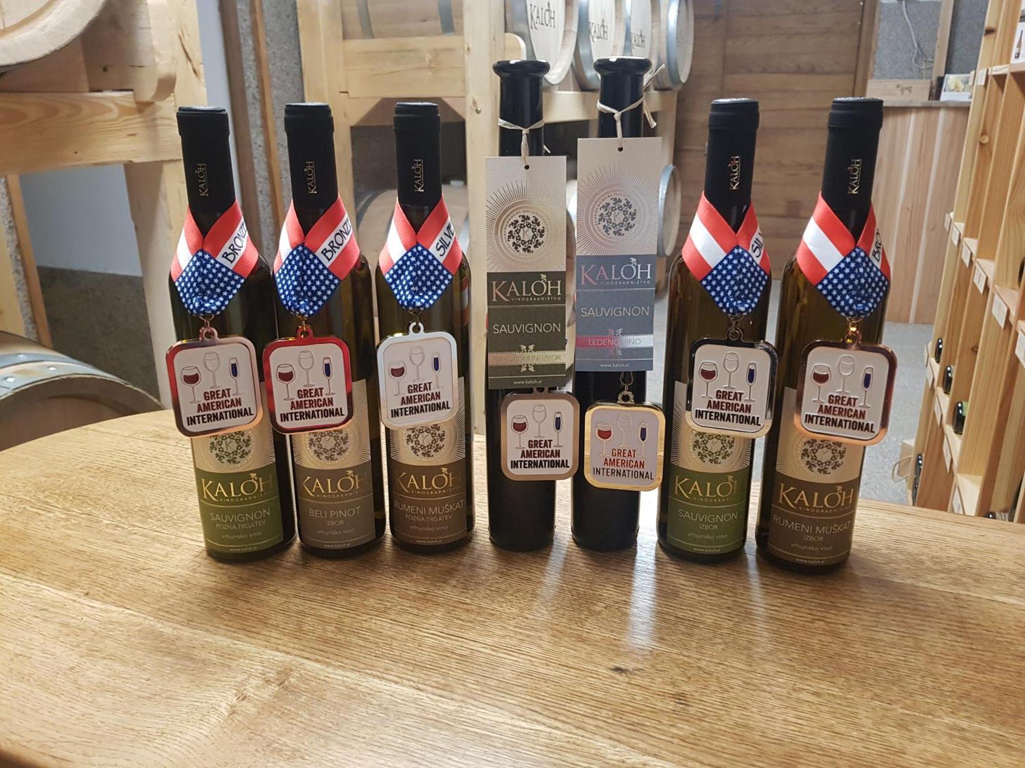 Wine House Kaloh Villa Марибор Екстериор снимка