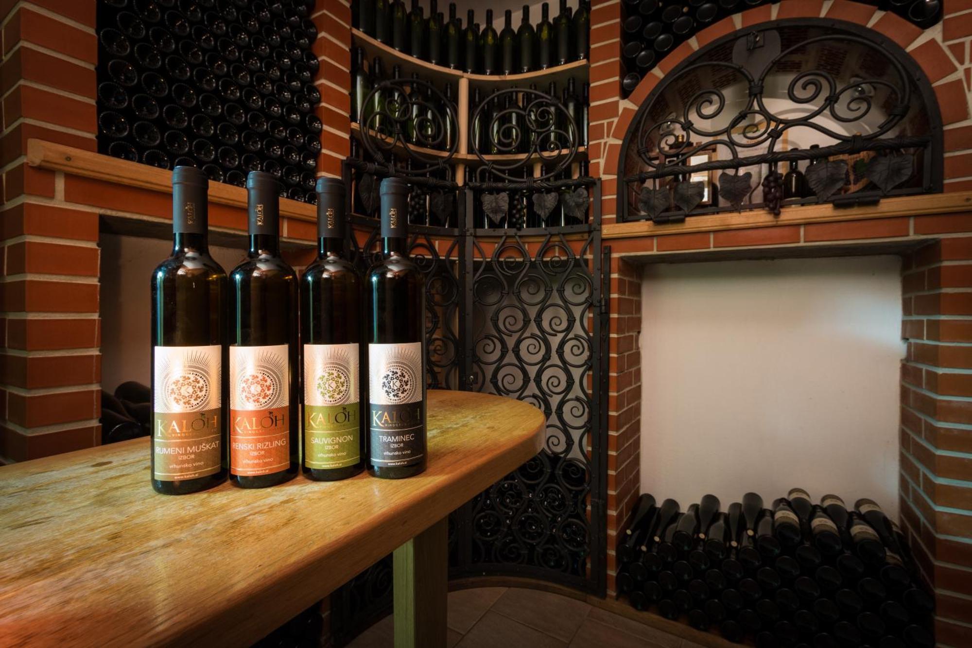 Wine House Kaloh Villa Марибор Екстериор снимка