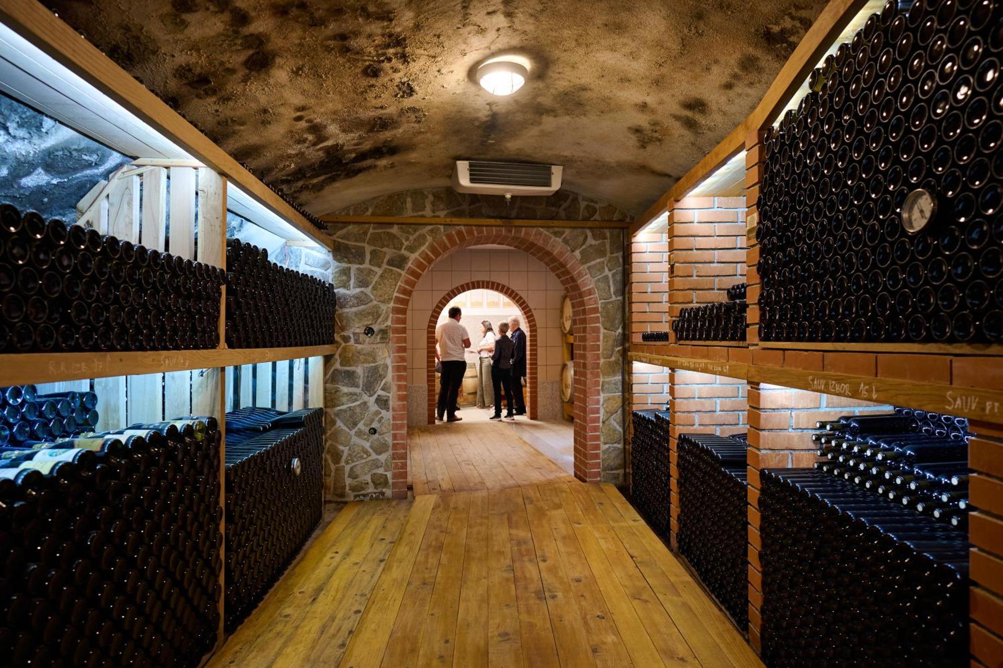 Wine House Kaloh Villa Марибор Екстериор снимка