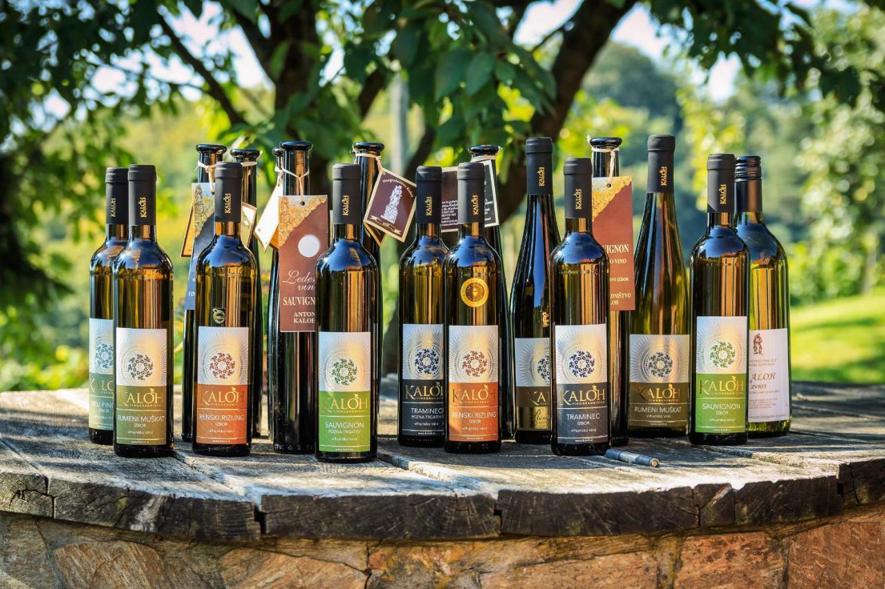 Wine House Kaloh Villa Марибор Екстериор снимка