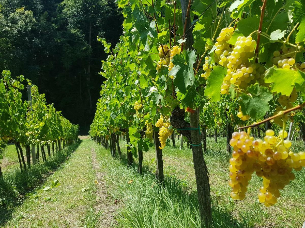 Wine House Kaloh Villa Марибор Екстериор снимка