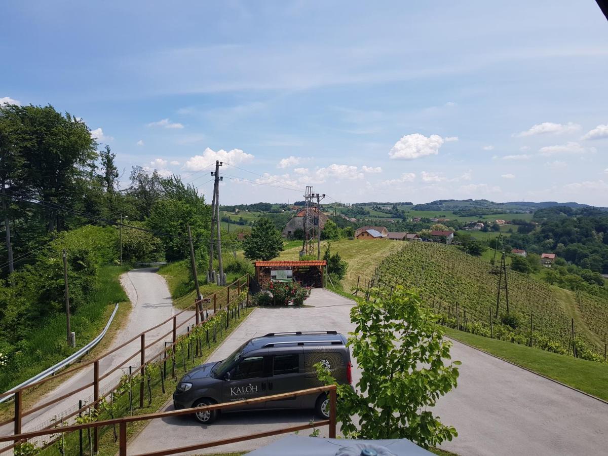 Wine House Kaloh Villa Марибор Екстериор снимка